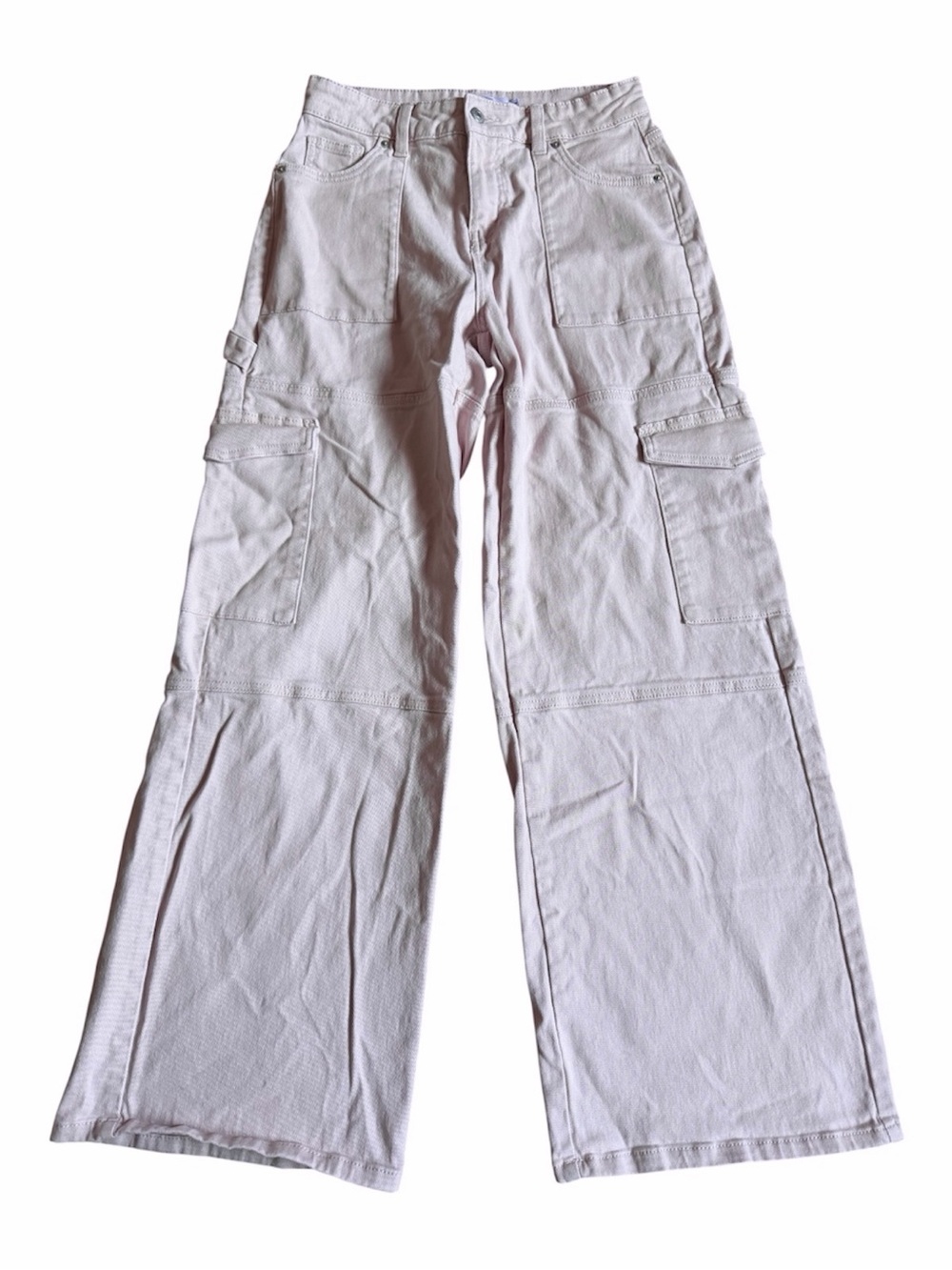refuge Baggy Wide-Leg Cargo Pants in Pale Pink Small
